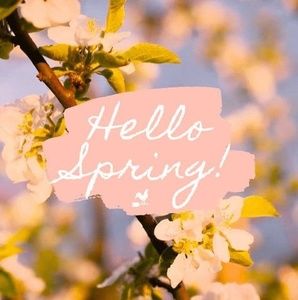 Meet your Posher, Dovie